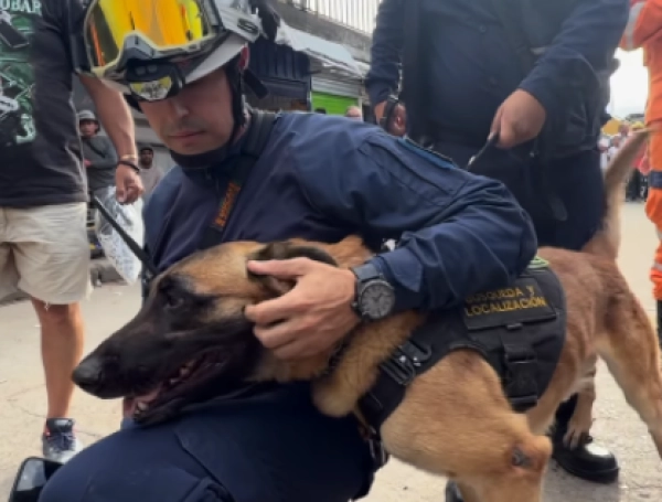 Un heroico perro de rescate del Cuerpo de Bomberos de esta ciudad ayudó a ubicar a la mujer.