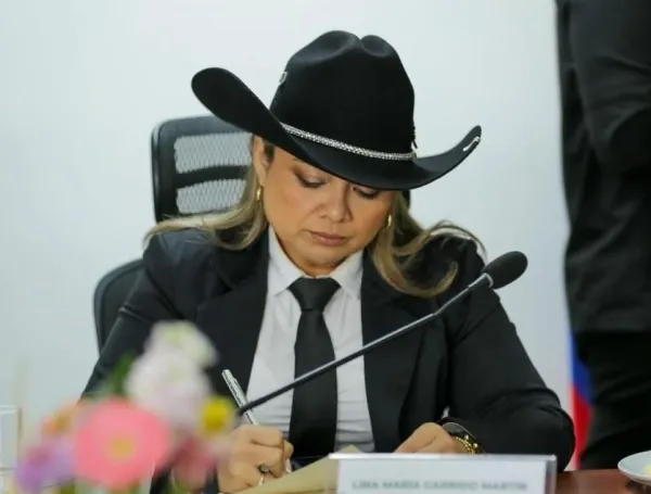 Lina María Garrido, directora de la ANT.