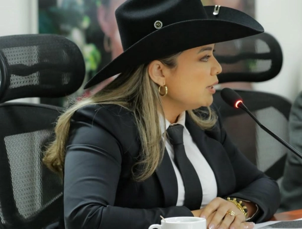 Lina María Garrido, directora de la ANT.
