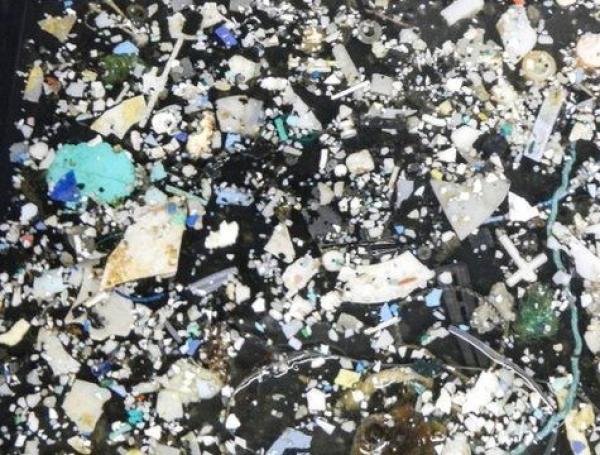 La gran Isla de basura del Pacífico que ya tiene tres veces el tamaño ...