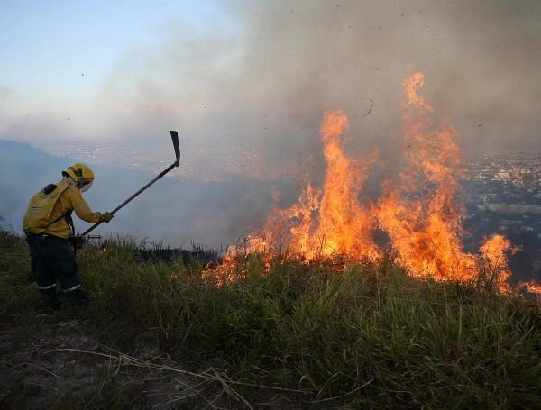 Como verdaderos héroes fueron llamados los Bomberos de Cali y Jamundí tras controlar las conflagraciones en el cerro de Cristo Rey y Terranova, respectivamente, donde murieron y quedaron heridos varios animales y se quemaron decenas de hectáreas. Piden a la comunidad no quemar basuras, tirar cigarillos, ni dejar vidrios en las montañas o pastizales.