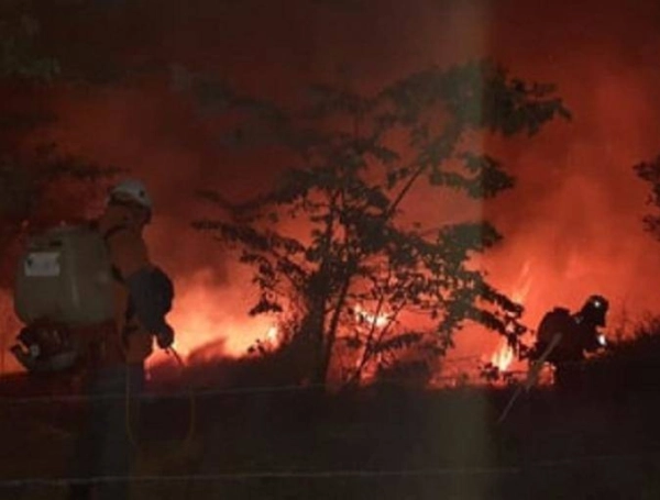 La conflagración ha requerido el apoyo de varios cuerpos de bomberos vecinos.