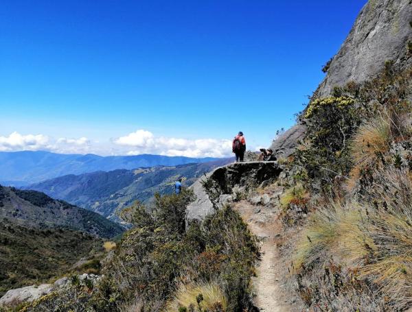 Gobierno De La Espriella revoca prórroga de la reserva temporal que habían creado para Santurbán: ¿qué cambia ahora?