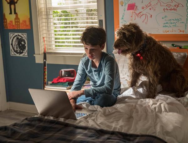 Netflix: las series y películas que se estrenarán en julio de 2020