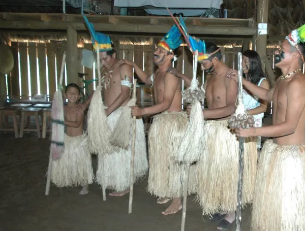 El cambio climático pone en riesgo la memoria ancestral de la Amazonia: hasta un tercio de las plantas usadas por pueblos indígenas podría desaparecer