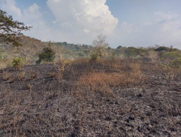 En la segunda finca, ‘Dos Corazones’, propiedad del mismo ganadero, se quemaron siete hectáreas durante el incendio que se registró el pasado fin de semana.