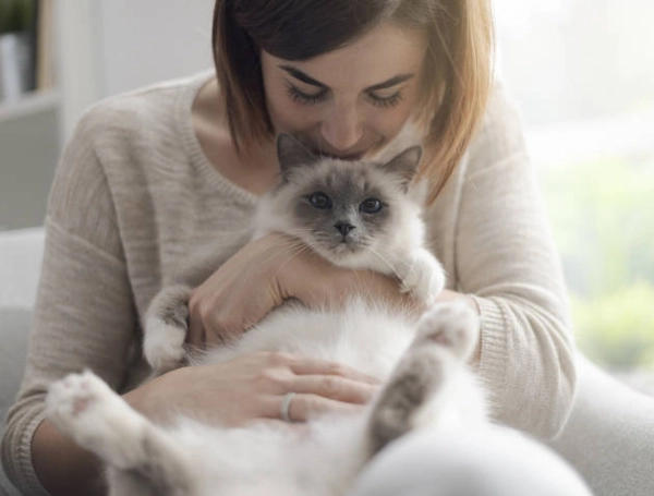 Mientras en Colombia las mascotas andan libres en casa, en Japón las reglas de convivencia son distintas: estas son las diferencias en ambos países