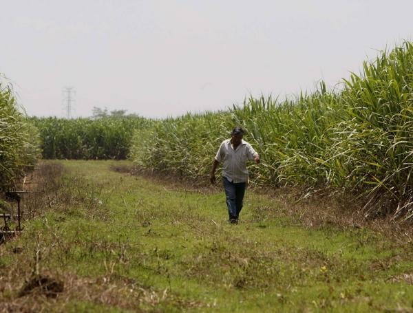 La estrategia busca beneficiar a unos 1.500 trabajadores.