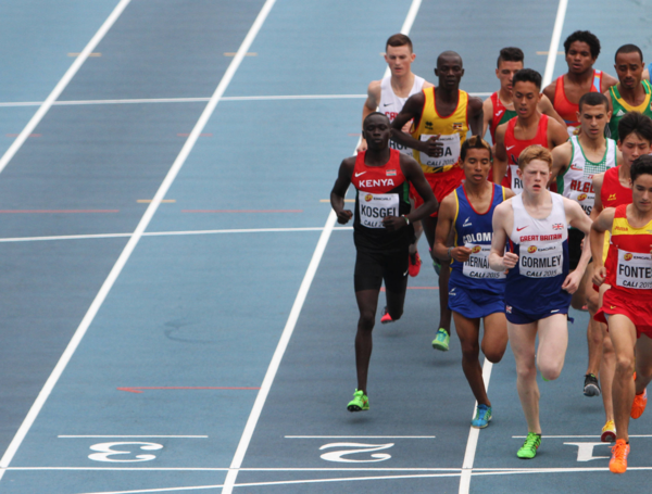 En la ciudad se esperan más de 3.000 atletas para la cita orbital.