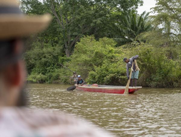 ¿Dónde y a quiénes asesinan por defender el ambiente en Colombia? Informe muestra que el Cauca y las comunidades indígenas concentran el riesgo