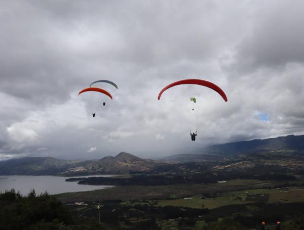 https://imagenes2.eltiempo.com/files/image_600_455/uploads/2021/09/16/6143ee06e5254.jpeg