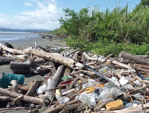La basura termina en las playas.