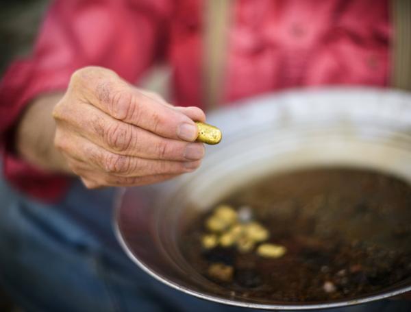 En la era de la bonanza minera en Estados Unidos, una familia compró un lote de tierra con la convicción de que iban a encontrar oro.