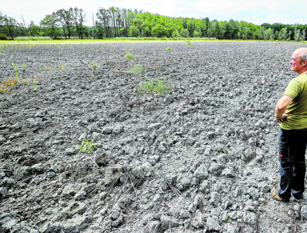 La ONU teme que las alzas de los precios, sobre todo de los fertilizantes, puedan hacer que no haya comida suficiente.