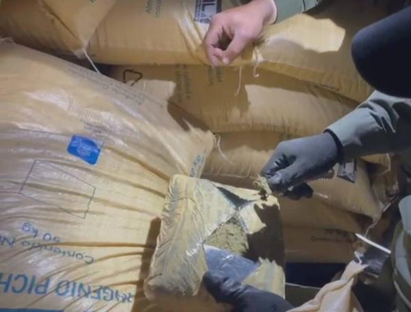 Policías de la Seccional de Tránsito y Transporte de Antioquia hallaron dos cargamentos de marihuana.