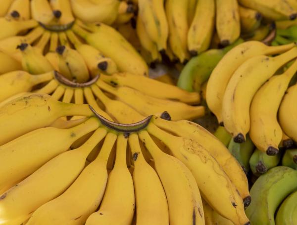 El banano es, en realidad, un carbohidrato complejo.