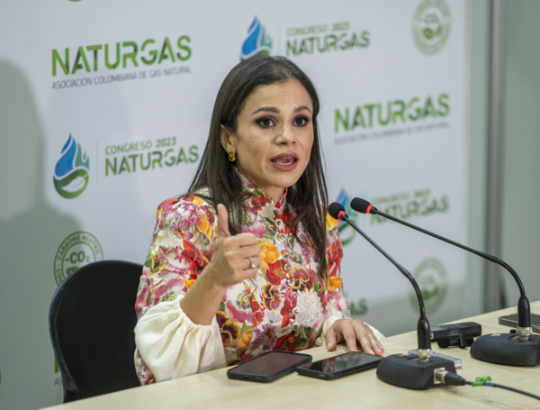 Luz Stella Murgas, presidenta de Naturgas