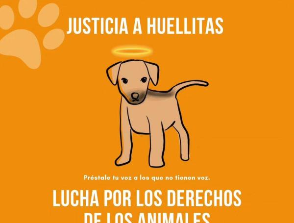Internautas crearon el numeral "Justicia por Huellitas".