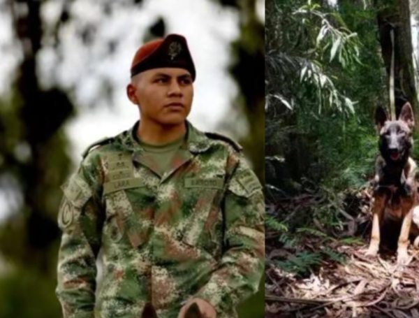 Wilson: se acabó búsqueda de perrito héroe en búsqueda de niños en la selva