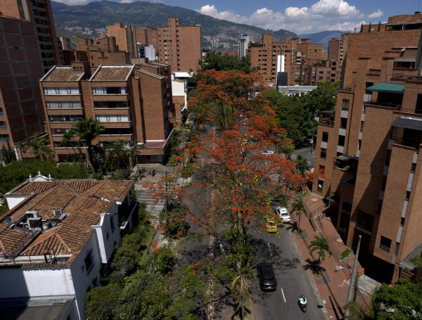El barrio Laureles nació en 1942 únicamente con tres casas y en sus inicios fue construido para la clase obrera. Poco más de ocho décadas después, este sector en el centro-occidente de Medellín es uno de los más reconocidos y tradicionales de la ciudad y, recientemente, fue elegido como el ‘barrio más cool del mundo’ según la empresa británica de medios y hostelería Time Out.