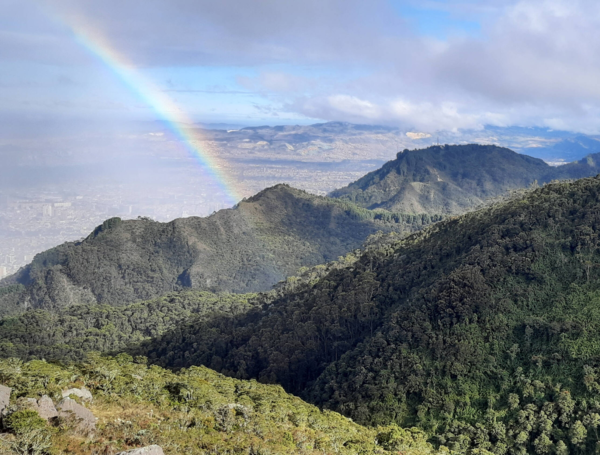 LiveHappy, la organización colombiana que busca convertir el turismo de naturaleza en una herramienta de conservación