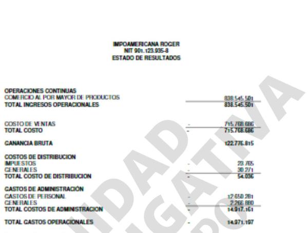 Documento de la empresa Impoamericana Roger SAS en donde registra.
