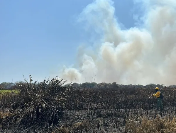 Estas quemas están teniendo un impacto devastador en la calidad del aire en Barranquilla.