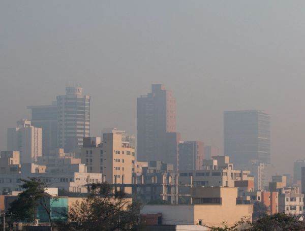 HUMO EN BARRANQUILLA POR INCENDIO EN ISLA PARQUE SALAMANCA