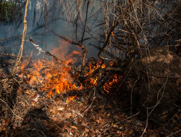 El incendio tiene algunos focos activos.