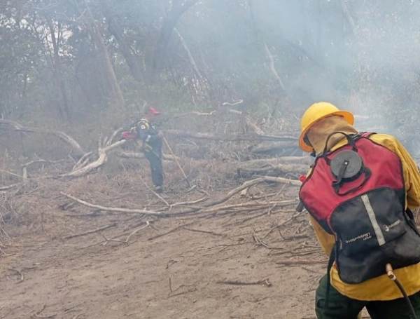 Las columnas de humo se aprecian desde el pasado sábado.