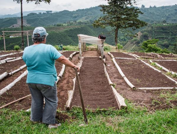 A junio de 2024, se logro?? consolidar un saldo de cartera de $10 billones en pequen??os productores y en el propo??sito de avanzar hacia el cierre de brechas en los territorios.