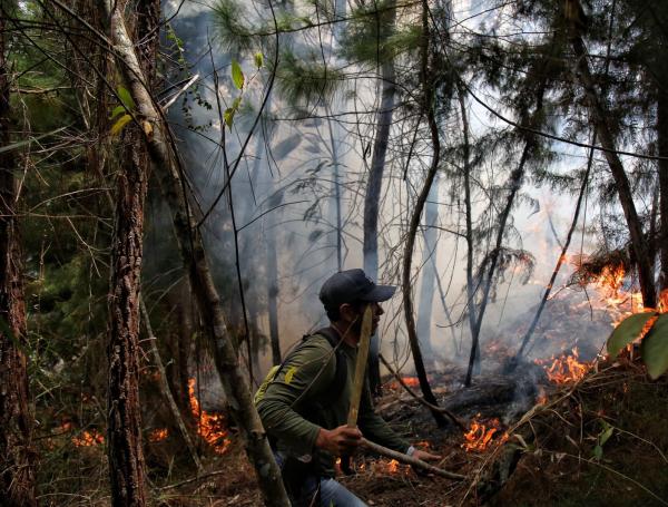Grave emergencias en Cali por incendios forestales provocados<