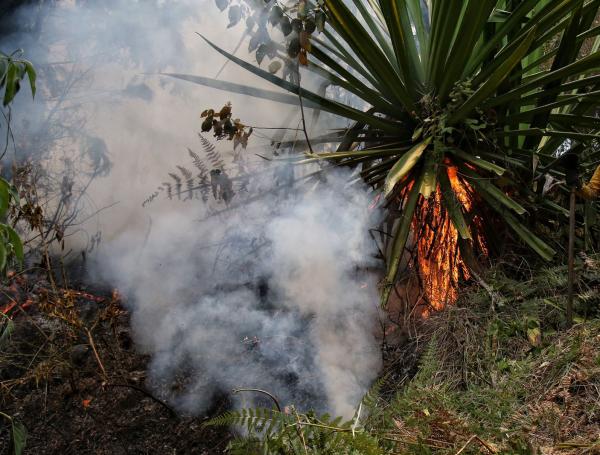 Grave emergencias en Cali por incendios forestales provocados<