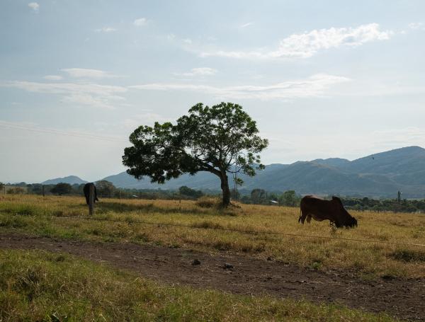 Entrega de tierras de la reforma agraria a víctimas de la hidroeléctrica El Quimbo.