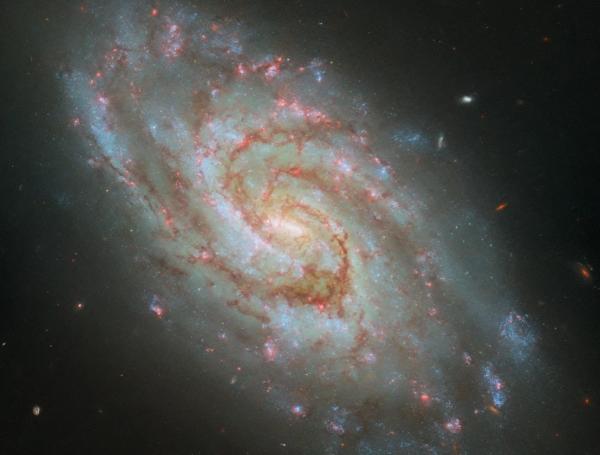 Así luce una 'guardería de estrellas' capturada por el telescopio Hubble