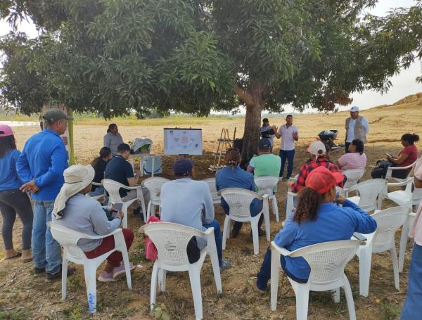 El plan empezó con un vivero en Caucasia para sembrar guarumo y piñón.