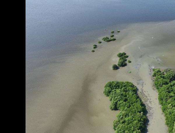 El Canal Matute descarga sus aguas en la Ciénaga de la Virgen de Cartagena