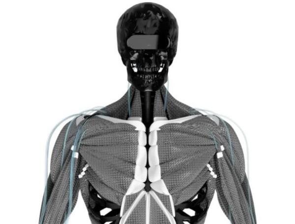 El video del primer 'robot humanoide' con 'músculos y huesos' que ...