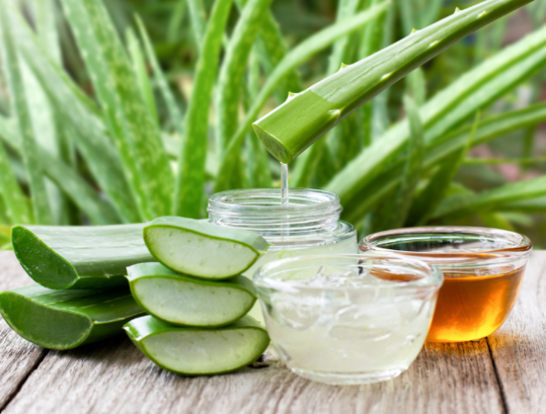 Cmo hacer crema facial de aloe vera para hidratar y rejuvenecer la piel?
