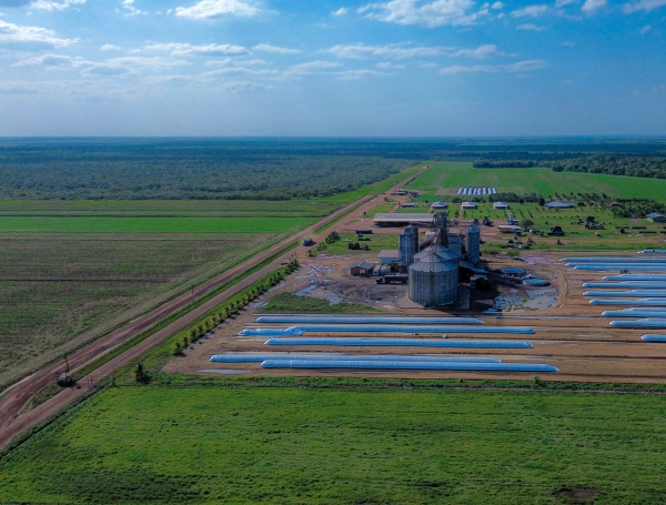 Buscan transformar la producción agropecuaria de la Orinoquía para proteger agua y biodiversidad