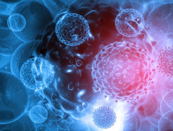virus