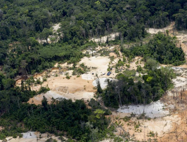El paraíso de la minería ilegal en la Amazonía