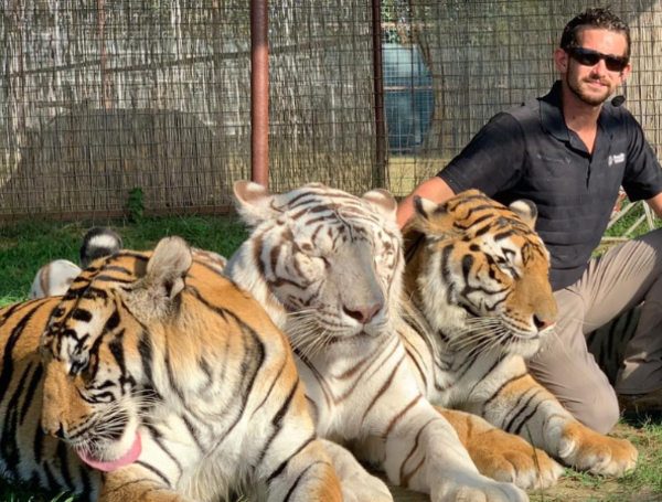 Un cuidador de tigres fue asesinado frente a su familia ...