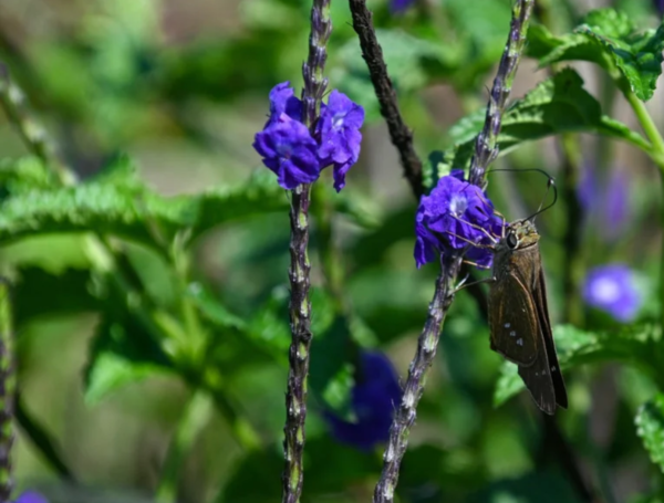Ecoparque de la Biodiversidad COP 16.