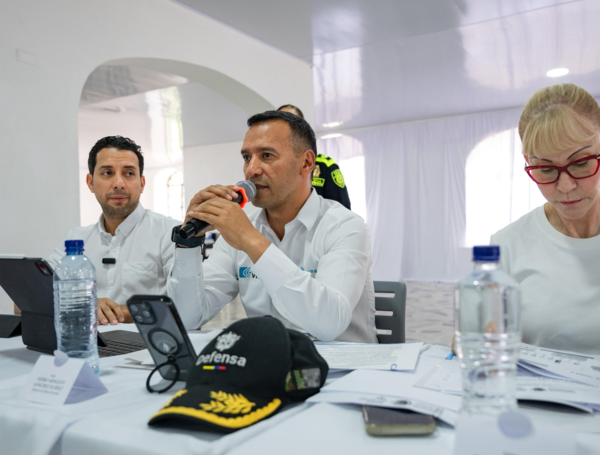 Consejo de Seguridad en Palmira