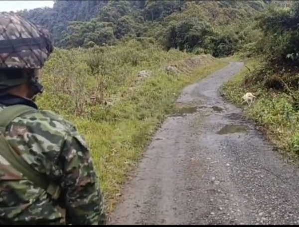 Desactivan explosivos en vía de Nariño.