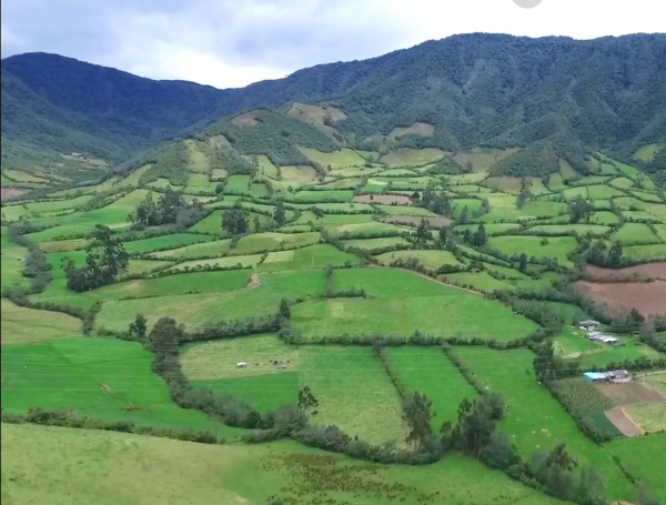 APPA Antioquia