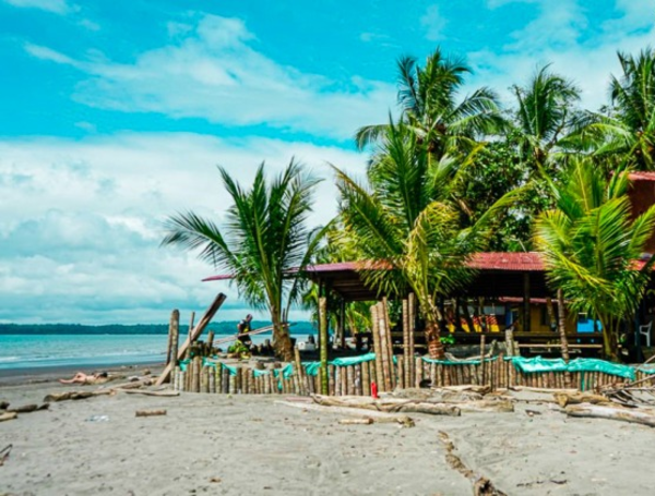 Alegría del Pacífico para despedir temporada de ballenas.