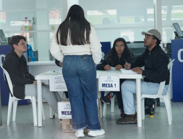 elecciones de los Consejos Locales de Juventud 2025.