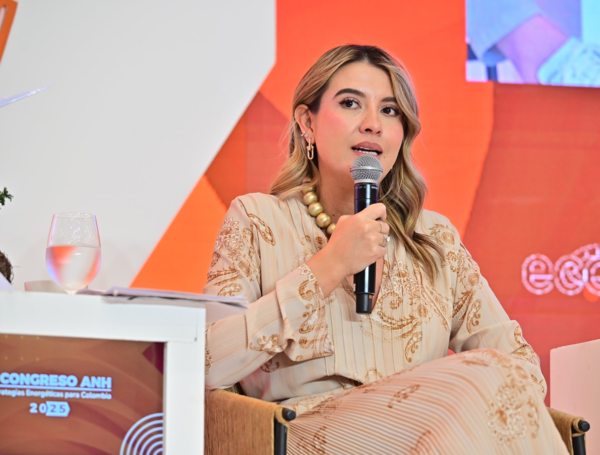 Vicepresidenta de Promoci??n y Asignaci??n de ??reas de la Agencia Nacional de Hidrocarburos (ANH), Nadia Plazas.